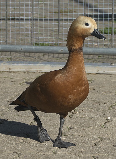 线再谋
