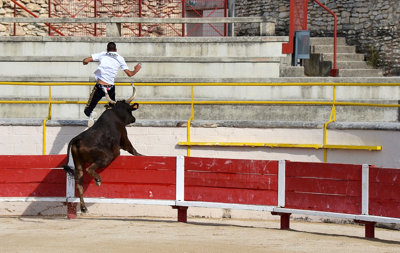 选手