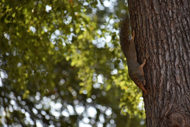 的战略规划 的战略规划
