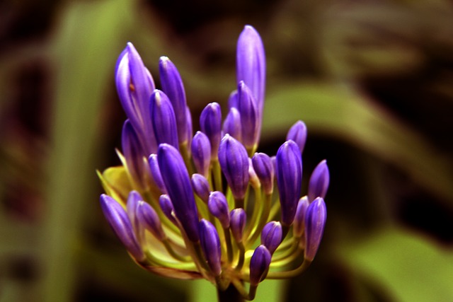 体育俱乐部 体育俱乐部