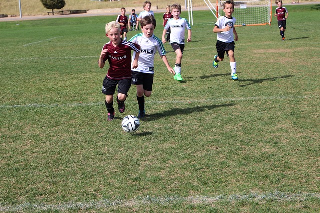 解歐洲國家 解歐洲國家