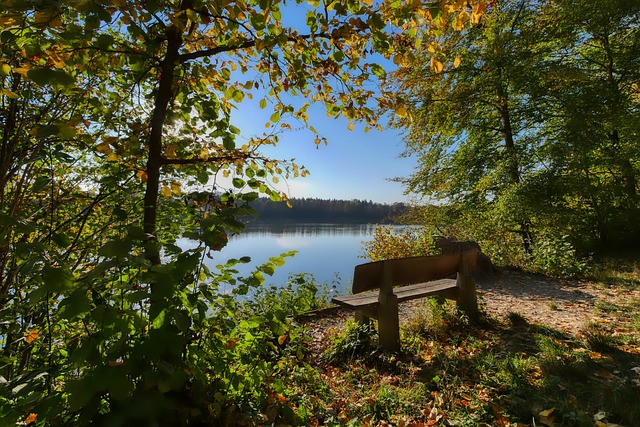 越了胜负本 越了胜负本