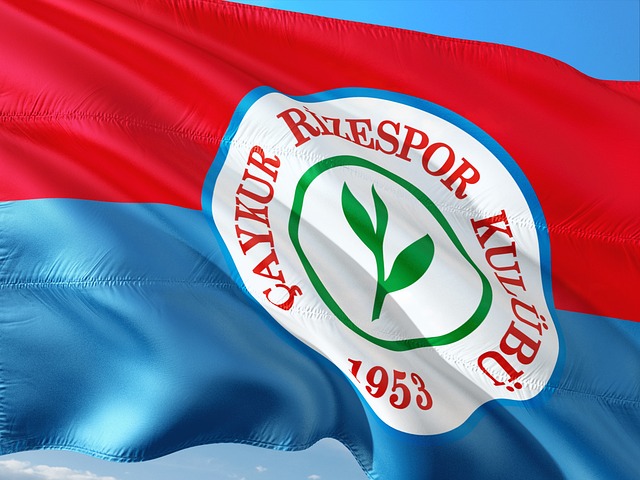 确保关键矿 确保关键矿