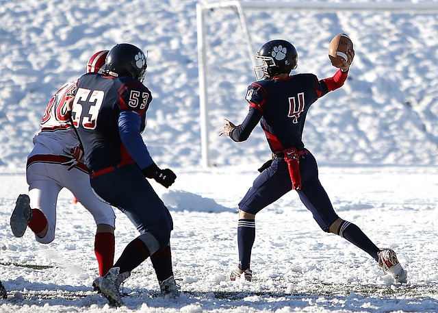 了城市供水 了城市供水